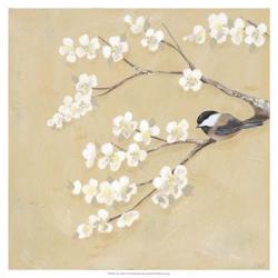 Sweet Birds I | Obraz na stenu