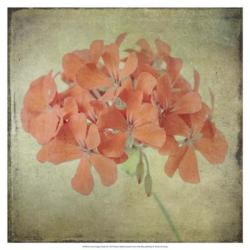 Lush Vintage Florals IX | Obraz na stenu