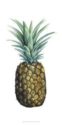 Watercolor Pineapple I | Obraz na stenu