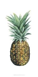 Watercolor Pineapple II | Obraz na stenu