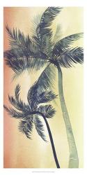 Vintage Palms I | Obraz na stenu