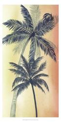 Vintage Palms II | Obraz na stenu