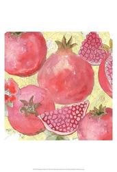 Pomegranate Medley I | Obraz na stenu