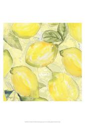 Lemon Medley I | Obraz na stenu