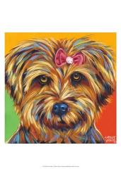 Sweet Yorkie I | Obraz na stenu