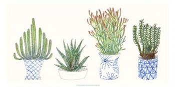 Four Succulents I | Obraz na stenu