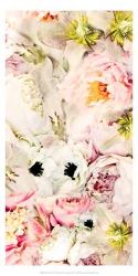 Bouquet Fluffy I | Obraz na stenu