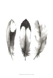 Watercolor Feathers II | Obraz na stenu