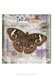 Butterfly Artifact II | Obraz na stenu
