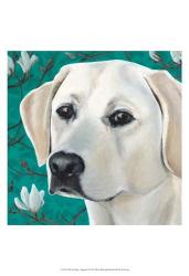 Dlynn's Dogs - Magnolia | Obraz na stenu
