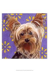 Dlynn's Dogs - Ringo | Obraz na stenu