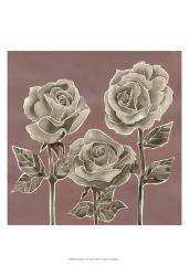Marsala Roses I | Obraz na stenu