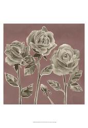 Marsala Roses II | Obraz na stenu