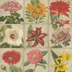 Vintage Flower Grid | Obraz na stenu