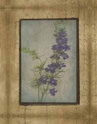Photographic Floral Collage I | Obraz na stenu