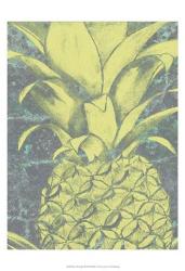 Kona Pineapple II | Obraz na stenu