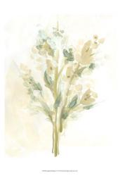 Sagebrush Bouquet I | Obraz na stenu
