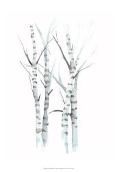 Aquarelle Birches I | Obraz na stenu