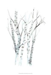 Aquarelle Birches II | Obraz na stenu