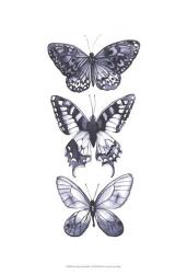 Monochrome Butterflies I | Obraz na stenu