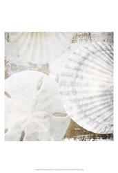 White Shells II | Obraz na stenu