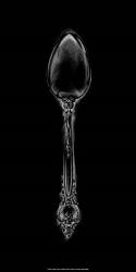 Ornate Cutlery on Black II | Obraz na stenu