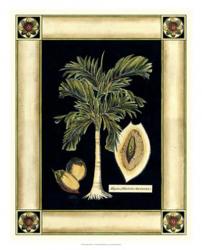 Paradise Palm V | Obraz na stenu
