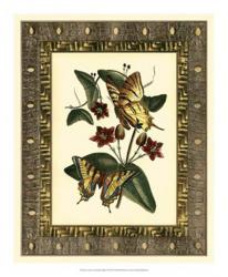 Leather Framed Butterflies I | Obraz na stenu