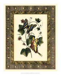 Leather Framed Butterflies II | Obraz na stenu