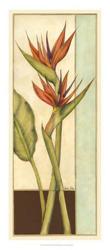 Tropicana Botanical II | Obraz na stenu