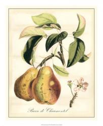 Tuscan Fruits IV | Obraz na stenu