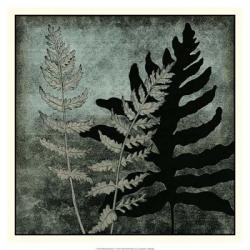 Illuminated Ferns I | Obraz na stenu
