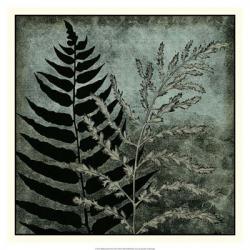 Illuminated Ferns III | Obraz na stenu