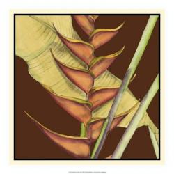 Striking Tropical III | Obraz na stenu