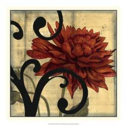 Dahlias & Scrolls IV | Obraz na stenu