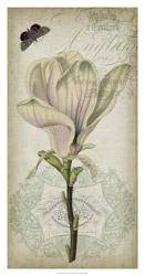 Cartouche & Floral I | Obraz na stenu