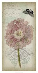 Cartouche & Floral II | Obraz na stenu