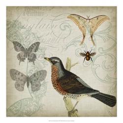 Cartouche & Wings II | Obraz na stenu