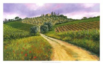 Tuscan Road | Obraz na stenu