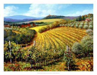 Chianti Vineyards | Obraz na stenu