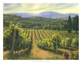 Tuscany Vines | Obraz na stenu