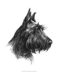 Canine Study II | Obraz na stenu