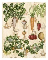 Edible Botanical I | Obraz na stenu