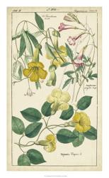 Spring Blooms II | Obraz na stenu