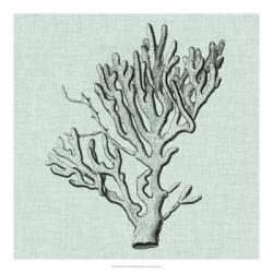 Serene Coral III | Obraz na stenu