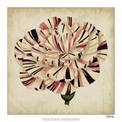 Pop Floral VI | Obraz na stenu