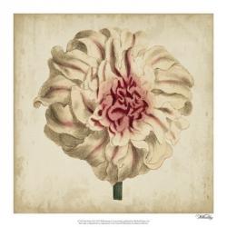 Pop Floral VII | Obraz na stenu