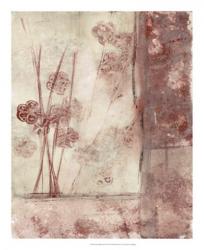 Framed Blossoms II | Obraz na stenu