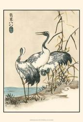 Oriental Crane II | Obraz na stenu