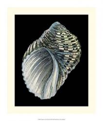 Treasures of the Sea III | Obraz na stenu